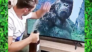 King Kong funny Video shorts