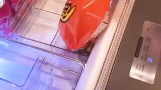 فيديوهات قصيرة