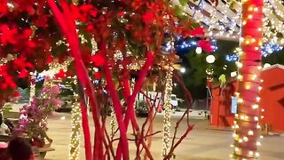 Natal na ilha do amor