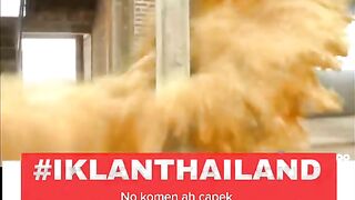Video kocak part 5