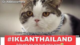 Video kocak part 7