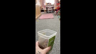Funny Pets Video