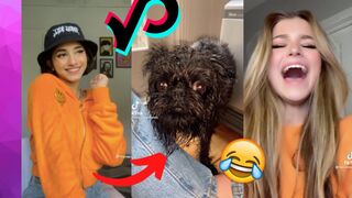 Funny Tik Toks To Watch In Bed ????????