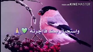 دعاء رائع❤❤❤❤