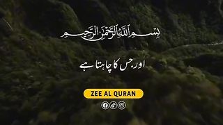 Quran 82