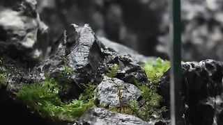 making a Naruto valley of the end #narutoshippuden #narutofans #miniature #art #diorama #naruto