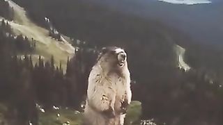 tiktok funny 5