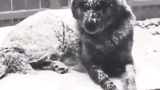 Вор 2