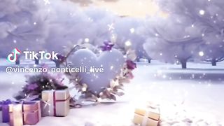 magnifique vidéo 12
