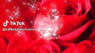 magnifique vidéo 18