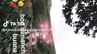 magnifique vidéo 24