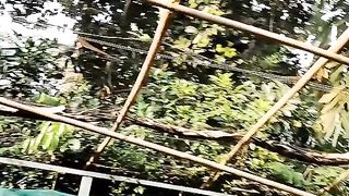 Untuk yang kesekian kalinya saya bahas penutup kolam mudah-mudahan saja kalian gak bosen