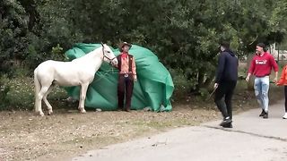 Encontrei a CAVALONA e eles ficaram MUITO BRAVOS!!!????????