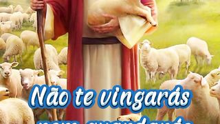 Versículo do Dia. 45