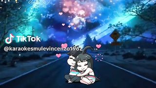 magnifique vidéo 27