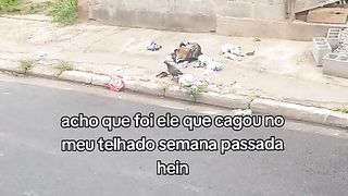 Eu nem guardo mágoa