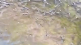 Lakukan pergantian air kolam minimal seminggu sekali dengan air yang sudah diendapkan (treatment)