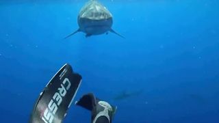 What to do in this situation via @mermaid.kayleigh #aquatic