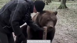 Funny Panda Viral Video 8