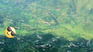 Greenery of the world