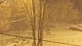 Second larger snowfall in Kyiv