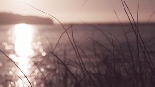 Gigsiphonic - PODCAST 236 (Present video)