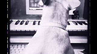 snippet 01 (promodj.co