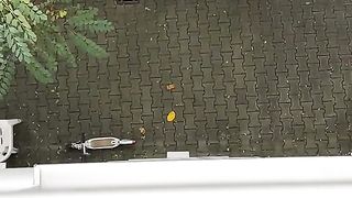 Banana Splash