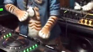 cotyachii dj