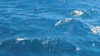Cruising along the Sea.
