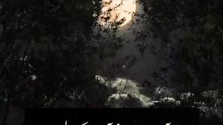 Zehni sakoon kb Milta hai #viral quotes #motivational quotes @Kashaf butt