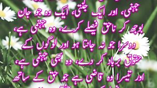 Jannati Qazi |  Quotes
