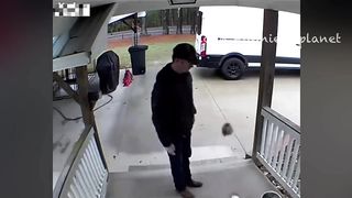funny video 381