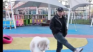 Video 367