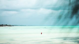 "Tropical Tapestry: Islands in Living Color"
