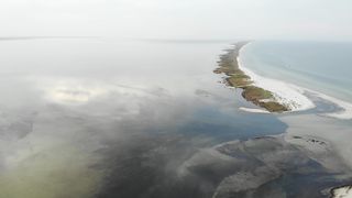 "Island Serendipity: Nature's Tranquil Retreats"