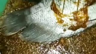 Gurame bakar