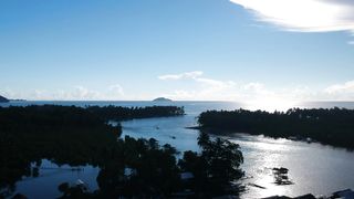 "Island Reverie: Navigating Nature's Beauty"