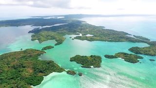 "Paradise Found: Islands in Full Bloom"