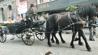 Special fete en belgique divertissement Regarder jusque la fin
