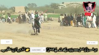 #febspot#foryou #foryoupage#horses#ridings#vedios #fyp #Ahmad#horsepower#trendin39