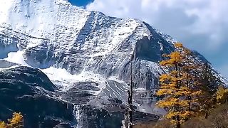 Amazing video 152