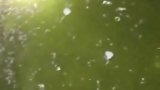 Begini jadinya jika kolam sedikit mijahkan induk lele pake NAFSU, giliran larva lele UPACARA bingung ????