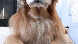 Doin a whisper