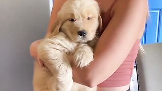 Our little tater Todd turns two