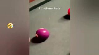 BEST FailArmy TikToks 2023! 10