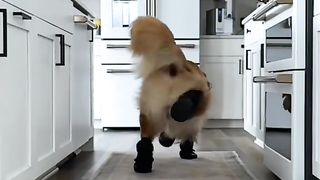 All the snowy boys walk like this