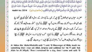 اسلامی معلومات 846