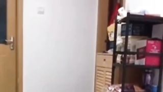funny????cat's_video