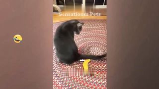 FUNNIEST_CAT_AND_DOG_VIDEOS_2023_ 5